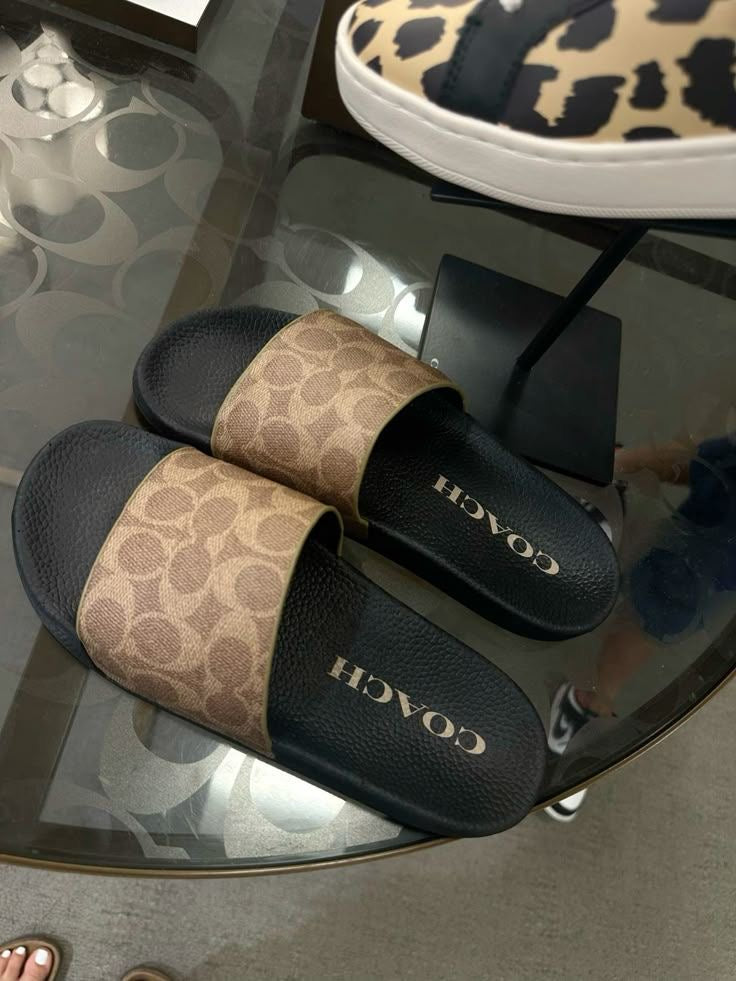 CH SLIDES